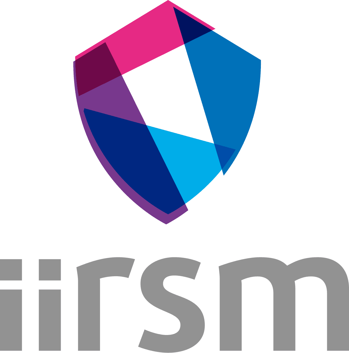 Client logo 13